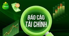 Báo cáo tài chính tổng hợp, hợp nhất Quý 1 và luỹ kế năm 2026