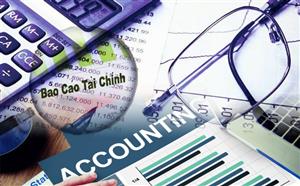 Báo cáo tài chính tổng hợp và hợp nhất quý 2 và luỹ kế năm 2025