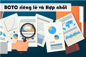 Báo cáo tài chính riêng và hợp nhất giữa niên độ đã được soát xét từ 01/01/2024 đến 30/06/2024