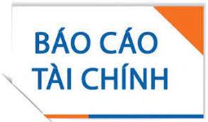 Báo cáo tài chính hợp nhất quý 1 và lũy kế 2023